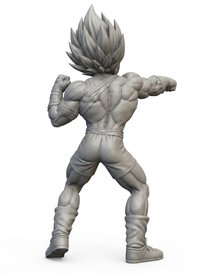 Input image: Back view