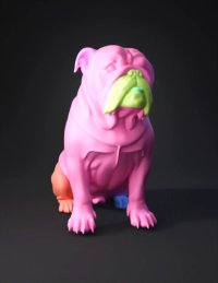 3d model: bulldog with white and fawn coat stocky body short muzzle