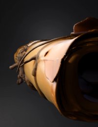 3d model: parchment scroll bound with string weathered parchment texture rolle