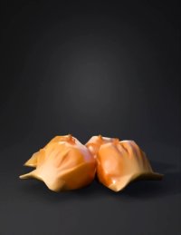 3d model: dumplings in bamboo steamer with translucent wrappers and subtle orang