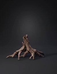 3d model: tree root sculpture with twisting roots and weathered wood texture