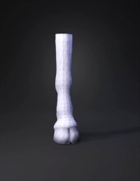 3d model: lower leg model humanoid limb gray smooth surface foot visible