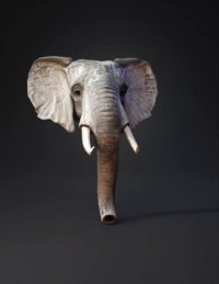 3d model: elephant head sculpture with weathered texture and tusks